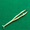 Medical Forceps