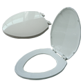 Plastic covered toilet 