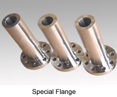 stainless-steel-flanges 